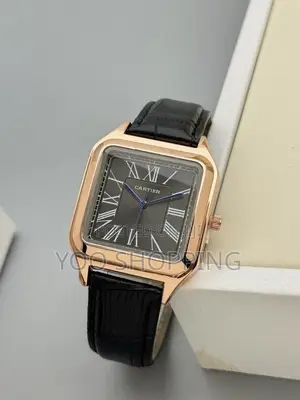 CARTIER SANTOS Watch for Him