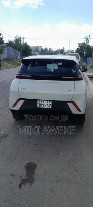 BYD Seagull 38 kWh FWD 2024 White