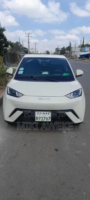 BYD Seagull 38 kWh FWD 2024 White