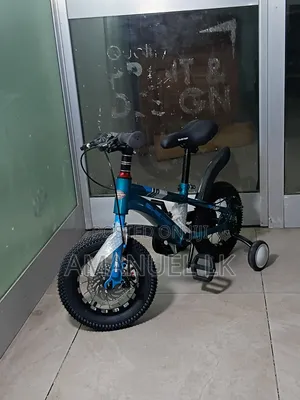 Summy Bike