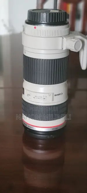 70 200 Mark 1 Telephoto