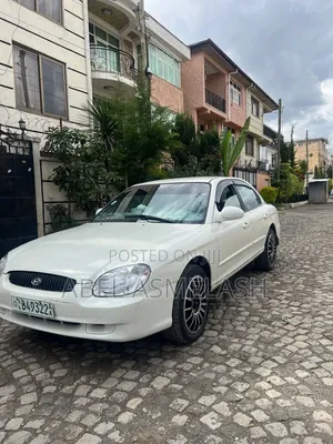 Hyundai Sonata 2001 White