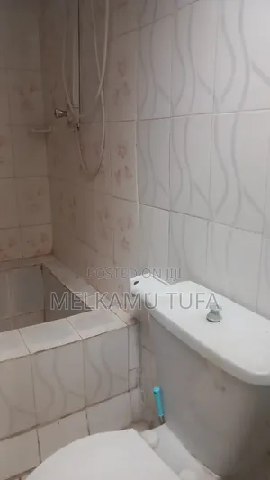 Furnished 2bdrm House in Kirkos for rent