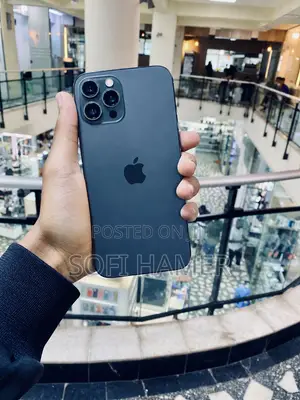 Apple iPhone 12 Pro Max 256 GB Gray