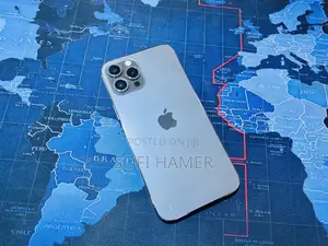 Apple iPhone 12 Pro Max 256 GB Gray