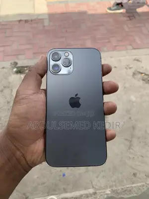 Apple iPhone 12 Pro Max 128 GB Gray