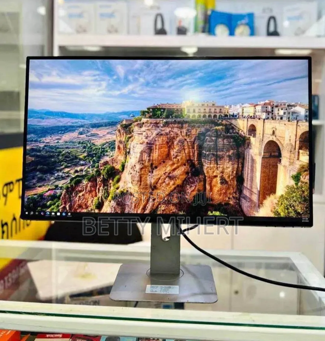 Dell 24inch Frameless Monitor