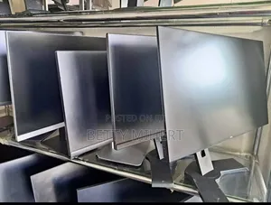 Dell 24inch Frameless Monitor