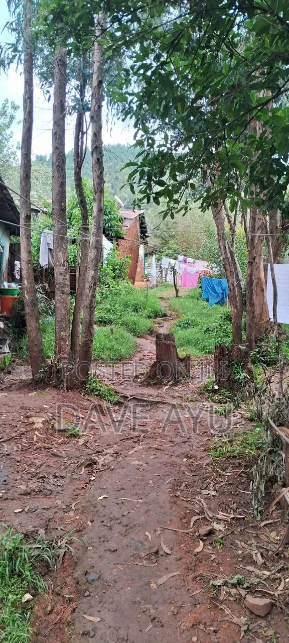 የግንባታ መሬት የተባበሩት