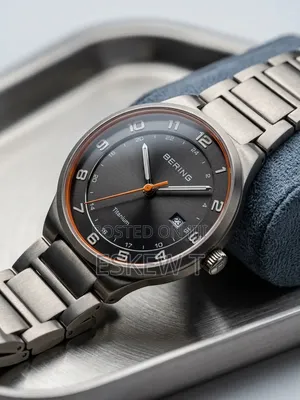 Bering Watch