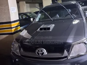 Toyota Hilux 2011 Gray