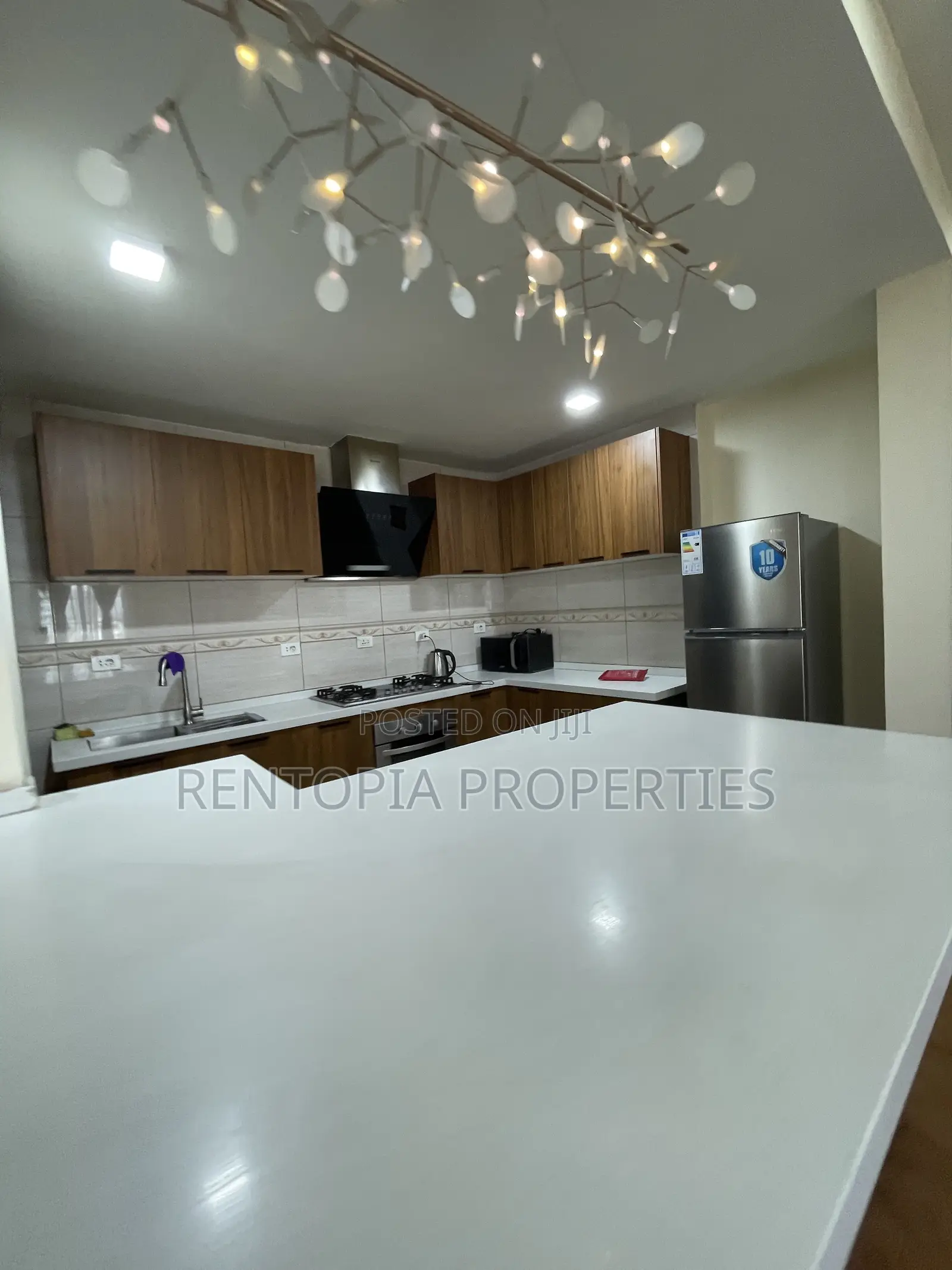 Furnished 2bdrm Apartment in Bole for rent