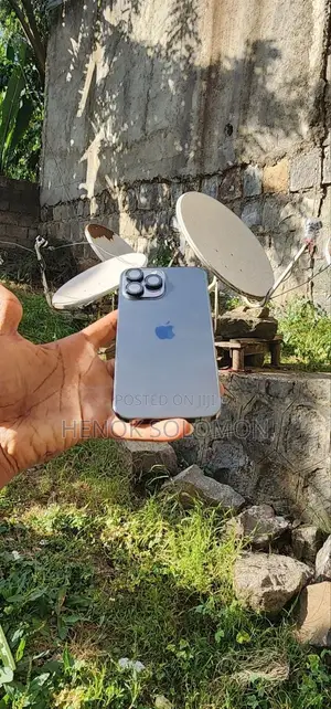 Apple iPhone 13 Pro Max 256 GB Silver