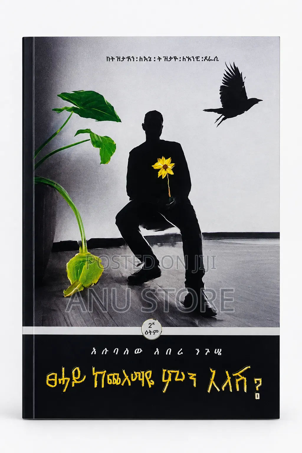 ፀሐይ ከጭለማዬ ምን አለሽ-እሱባለው አበራ ንጉሴ