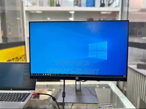 HP 24inch Frameless Monitor