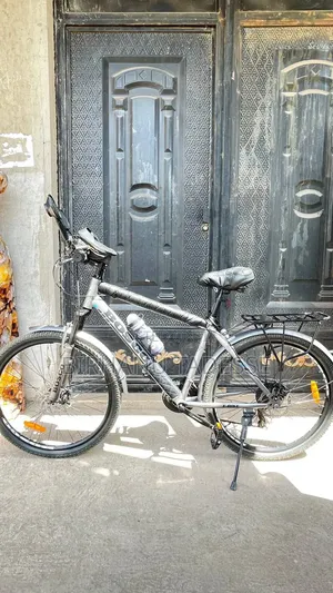 Bosco Bike