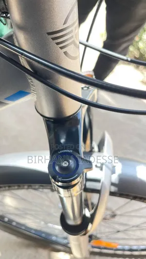 Bosco Bike