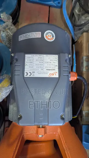 Leo 4hp Water Pump