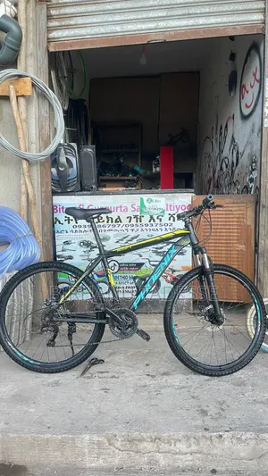 Phoenix Bike