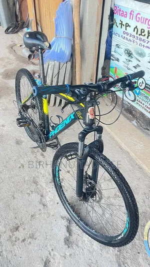 Phoenix Bike