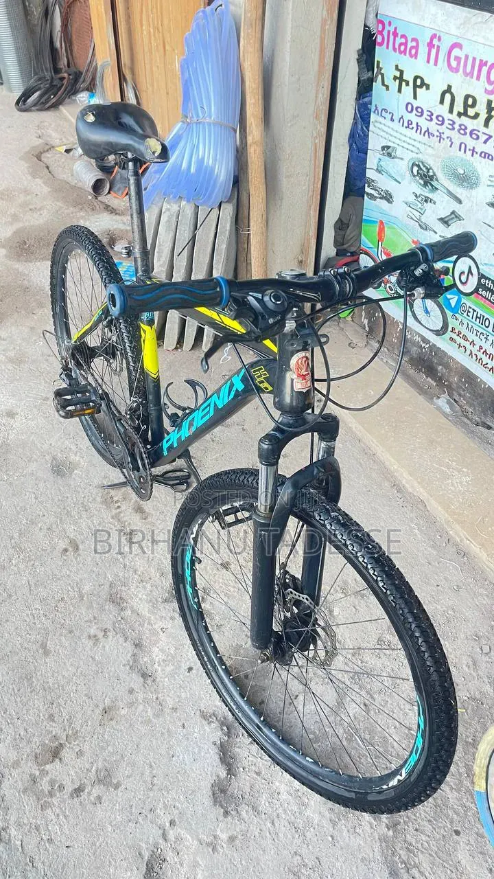 Phoenix Bike
