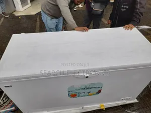 Next 450,l Deep Freezer ኢንቨርተር እና ስቴለስስ ቆንጆ ዲፕ ፍሪጅ