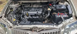 Toyota Corolla 2006 Beige