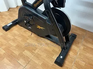  Reebok FR30 Exercise Bike – Professional Indoor Cycling!