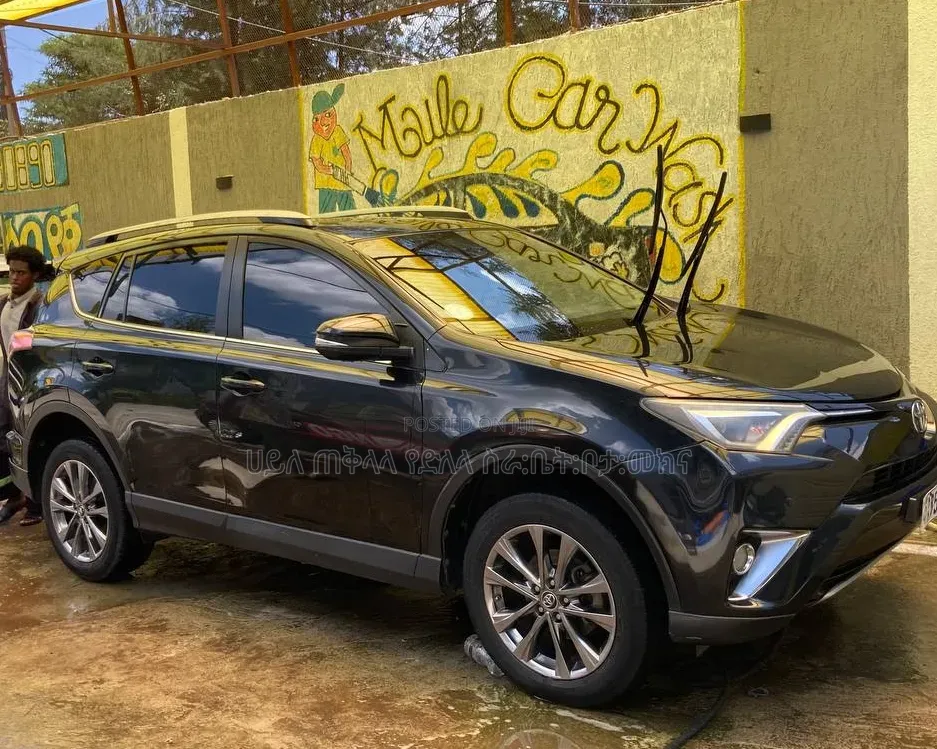 Toyota RAV4 2018 Gray