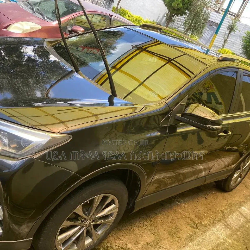 Toyota RAV4 2018 Gray