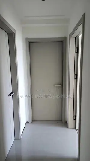 Hospital Doors 100% Waterproof Doors Available With Different Colors