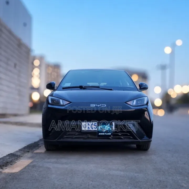 BYD Seagull 2024 Black