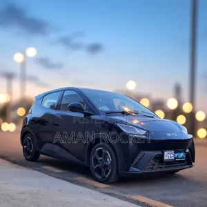 BYD Seagull 2024 Black