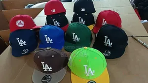 Los Angeles Dodgers Flat-Brim Snapback and Fitted Baseball Caps