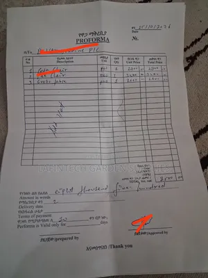 Professional Proforma Invoice, Quotation Services ፕሮፎርማ የመሙላት አገልግሎት