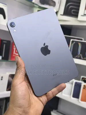 Apple iPad mini 6 256 GB Gray