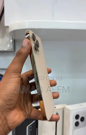 New Apple iPhone 13 Pro Max 256 GB Gold