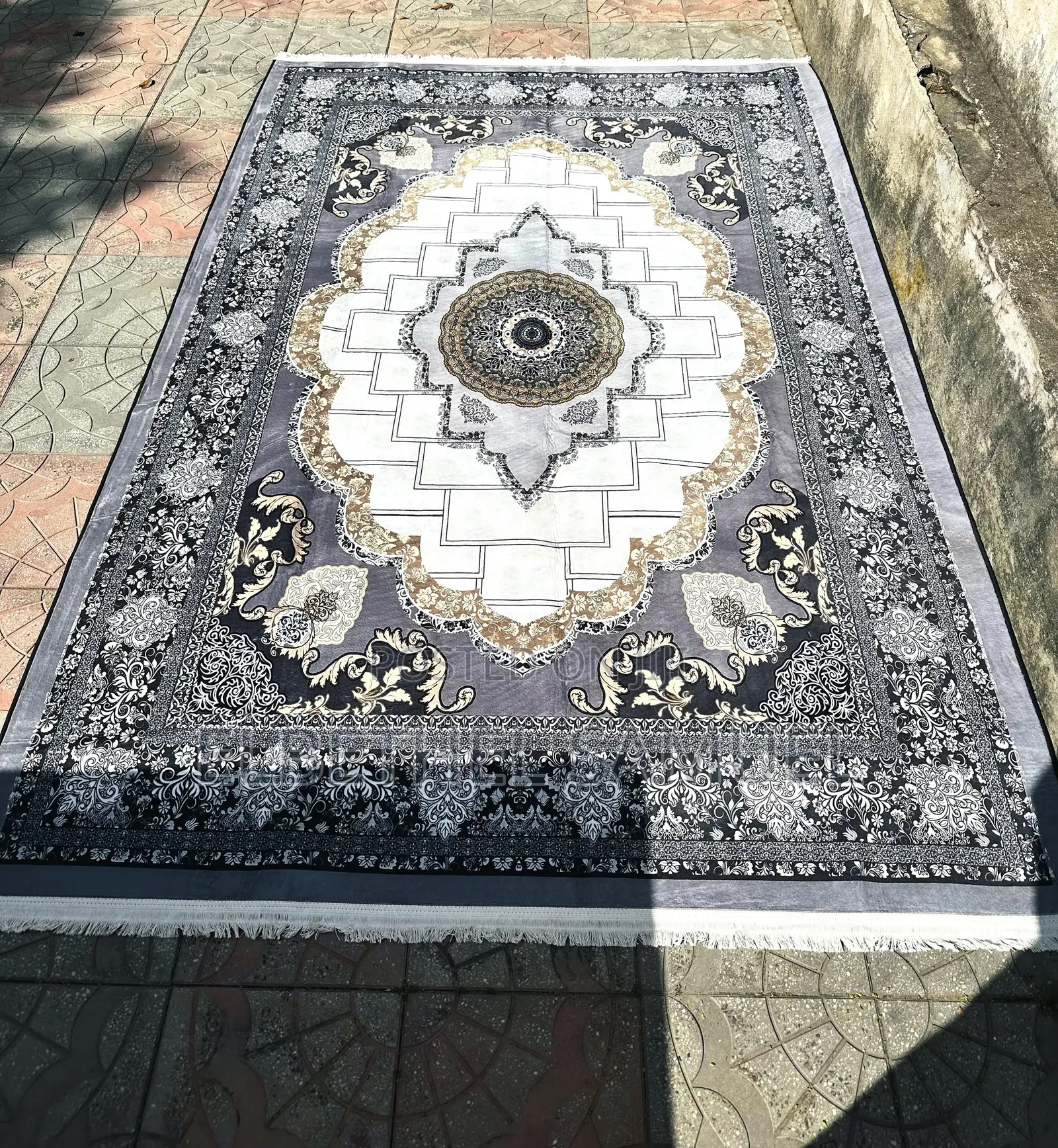 Living Room Carpet