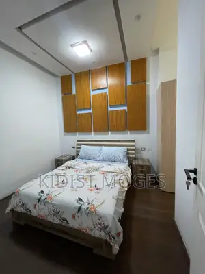 Furnished 3bdrm Apartment in Bole for rent