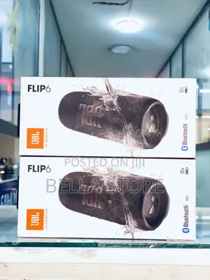 JBL Flip 6