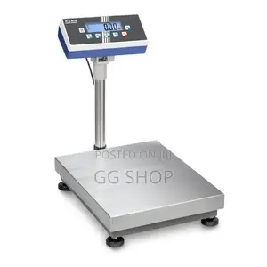 .60KG Commercial Scale
