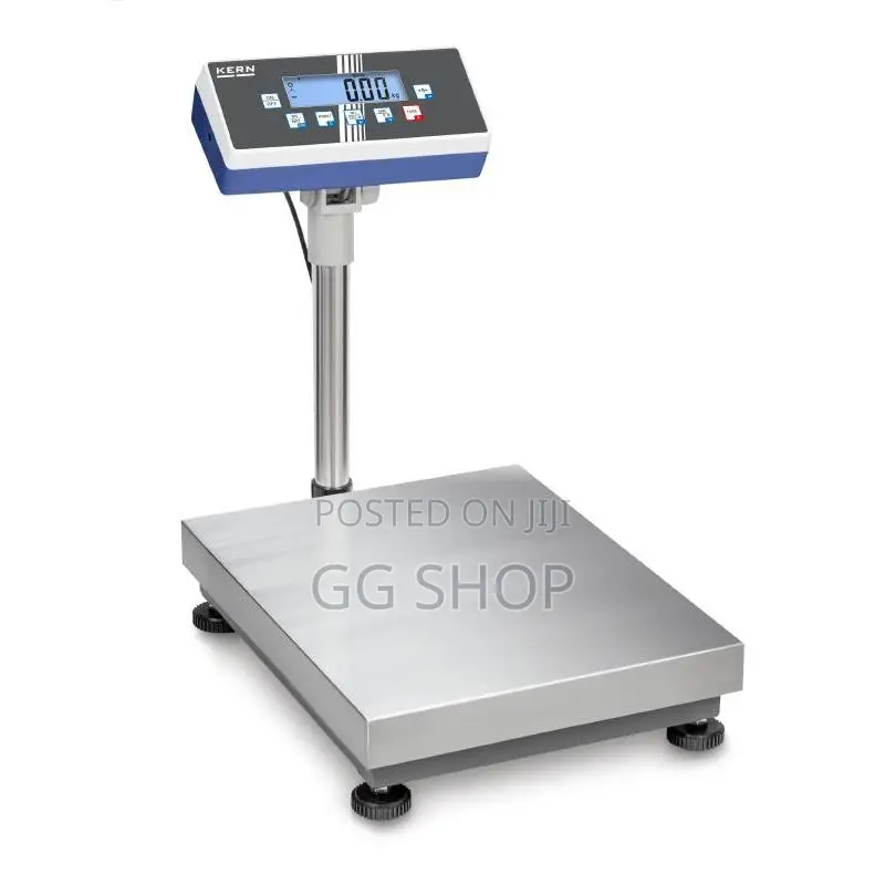 .60KG Commercial Scale
