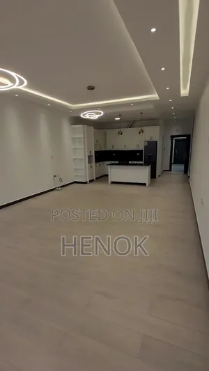 3bdrm Apartment in Mulu Building, Arada for rent