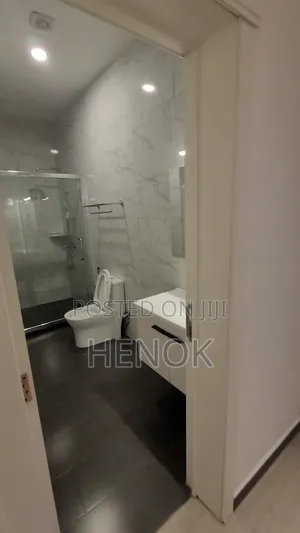 3bdrm Apartment in Mulu Building, Arada for rent