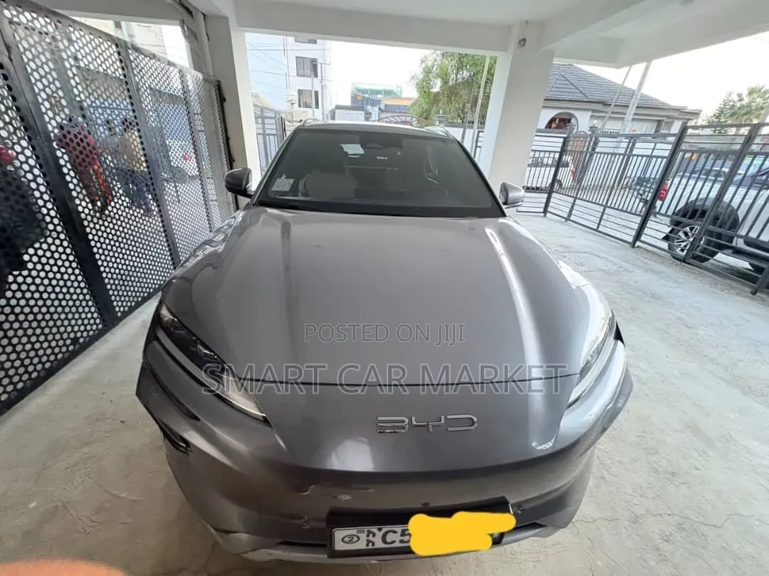BYD Song Plus 2024 Gray