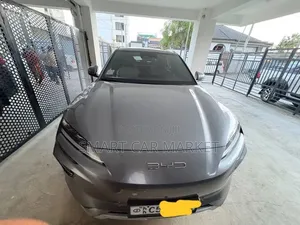 BYD Song Plus 2024 Gray