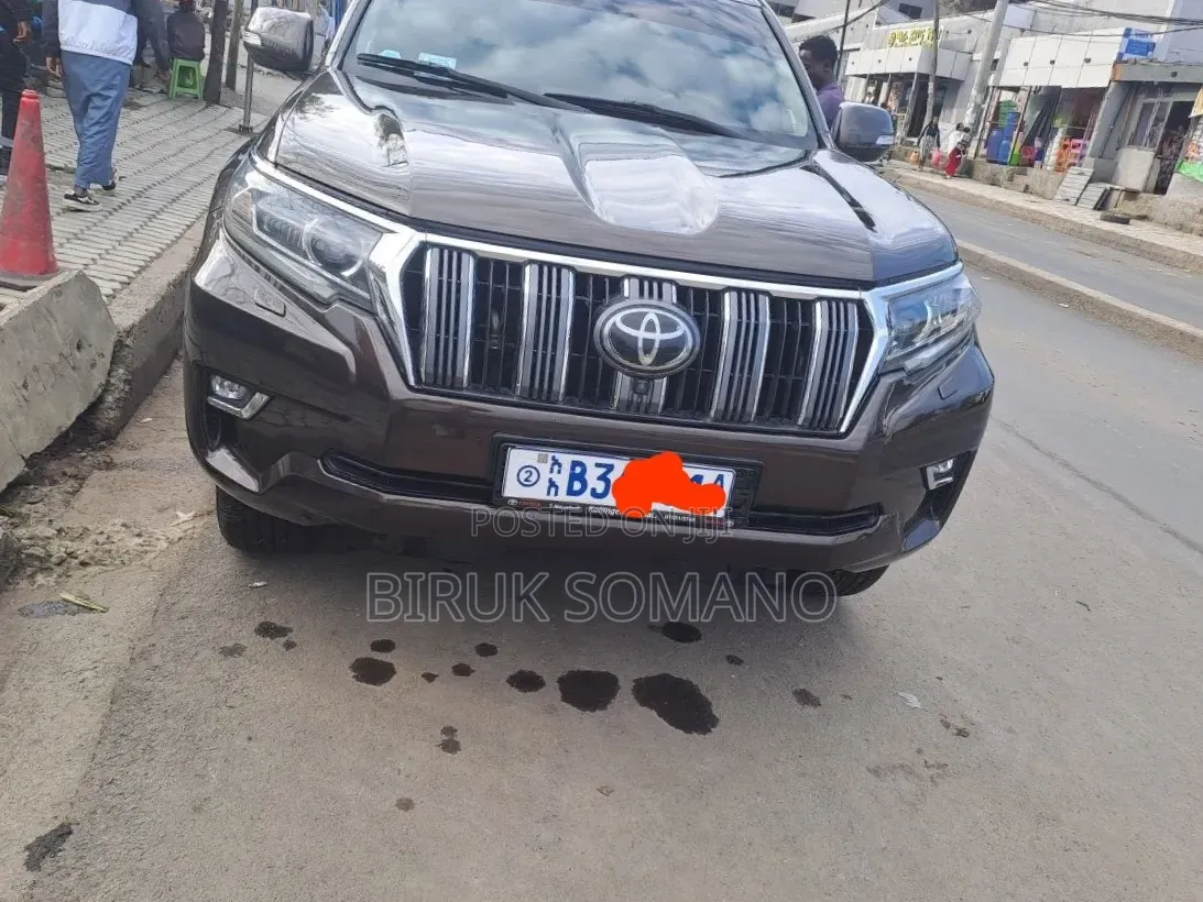Toyota Land Cruiser Prado 2019 Brown