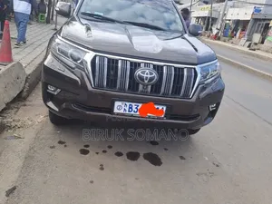 Toyota Land Cruiser Prado 2019 Brown