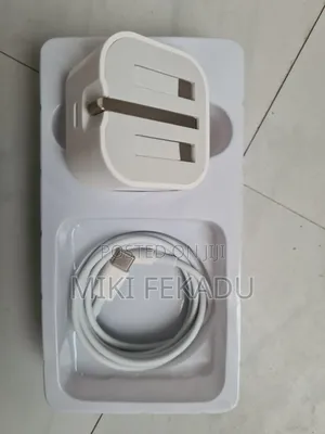 iPhone Charger