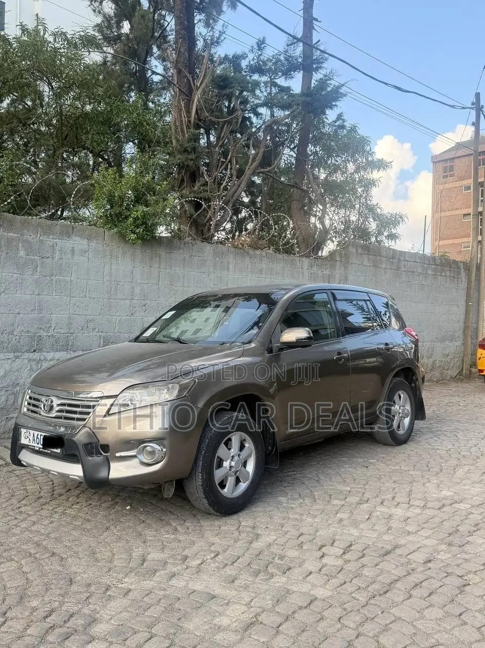 Toyota RAV4 2012 Brown